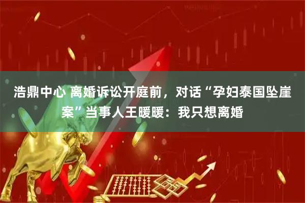 浩鼎中心 离婚诉讼开庭前，对话“孕妇泰国坠崖案”当事人王暖暖：我只想离婚