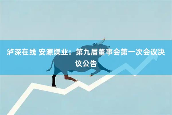 泸深在线 安源煤业：第九届董事会第一次会议决议公告