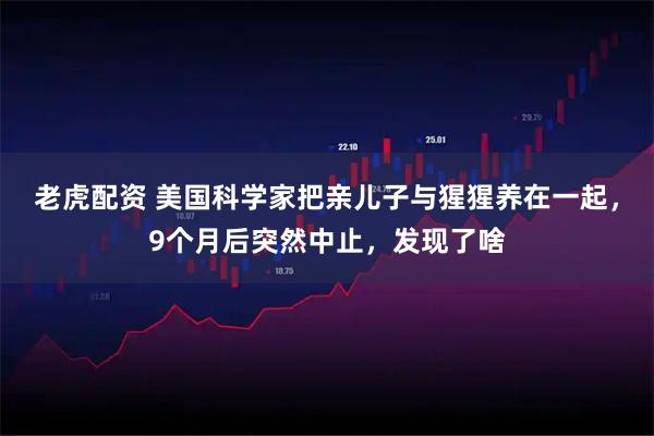 老虎配资 美国科学家把亲儿子与猩猩养在一起，9个月后突然中止，发现了啥